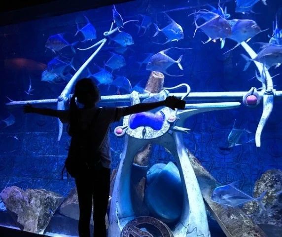 回忆迪拜幸福蜜月之旅,甜蜜的蜜月旅程