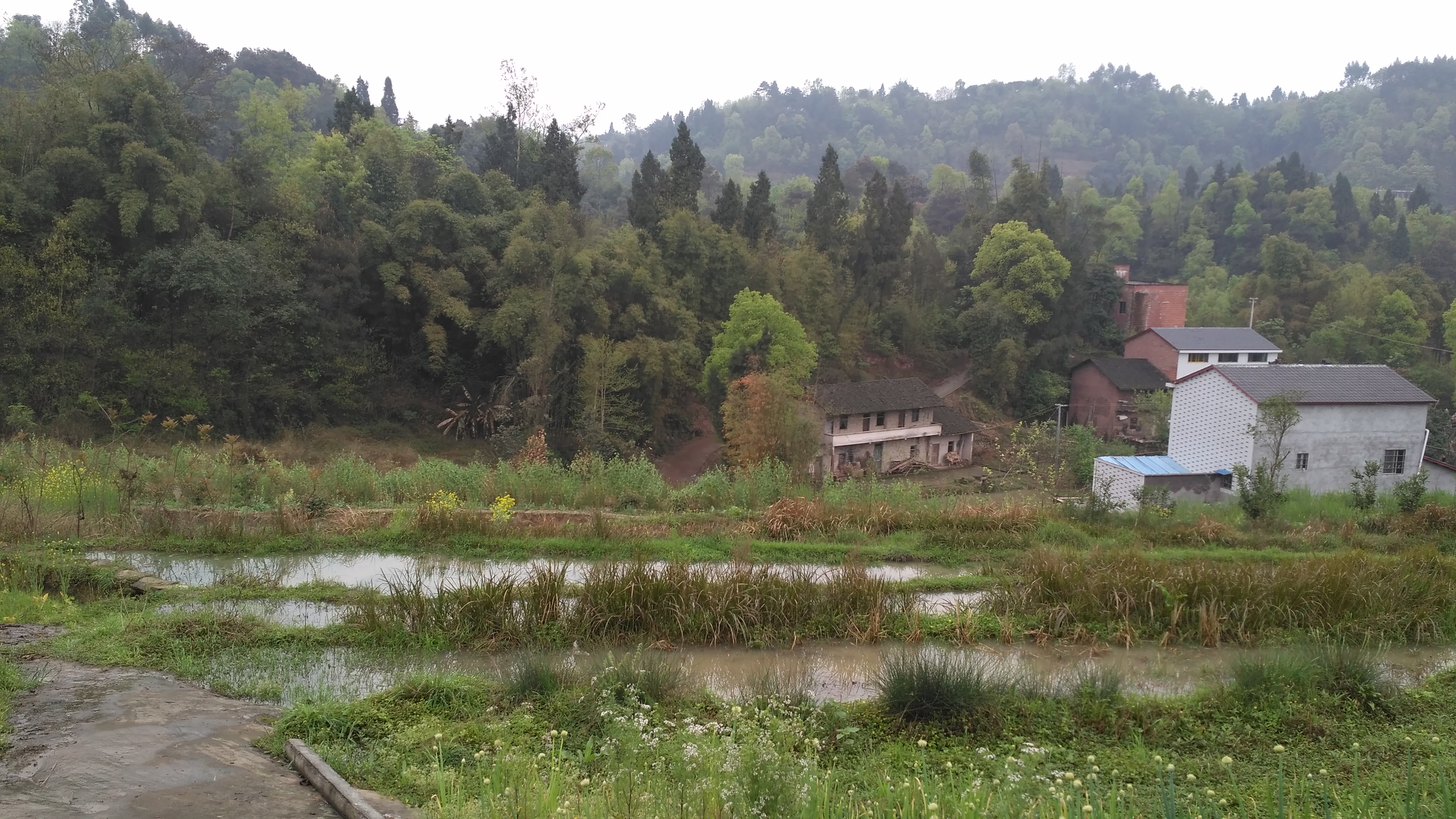 我的田园情结,温暖的田园情结