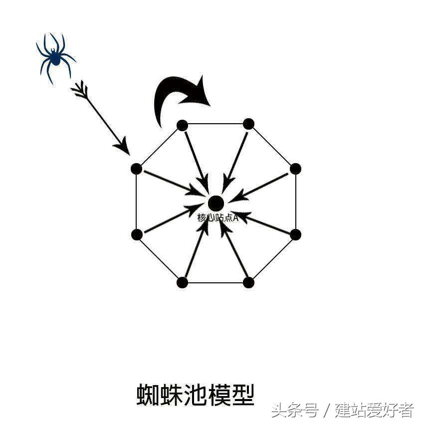 seo超级蜘蛛池,seo站群怎么去优化蜘蛛池