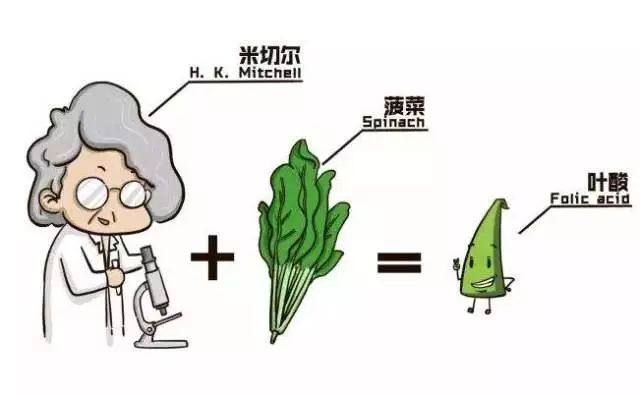 叶酸如何补才靠谱,老年人怎样补叶酸