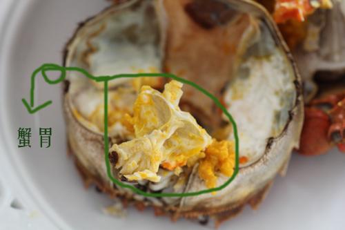 绑着的螃蟹怎么清洗干净,活螃蟹怎么清洗和蒸视频