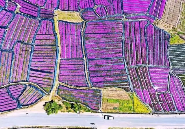 诗意到极致的江南小镇,最有韵味江南小城