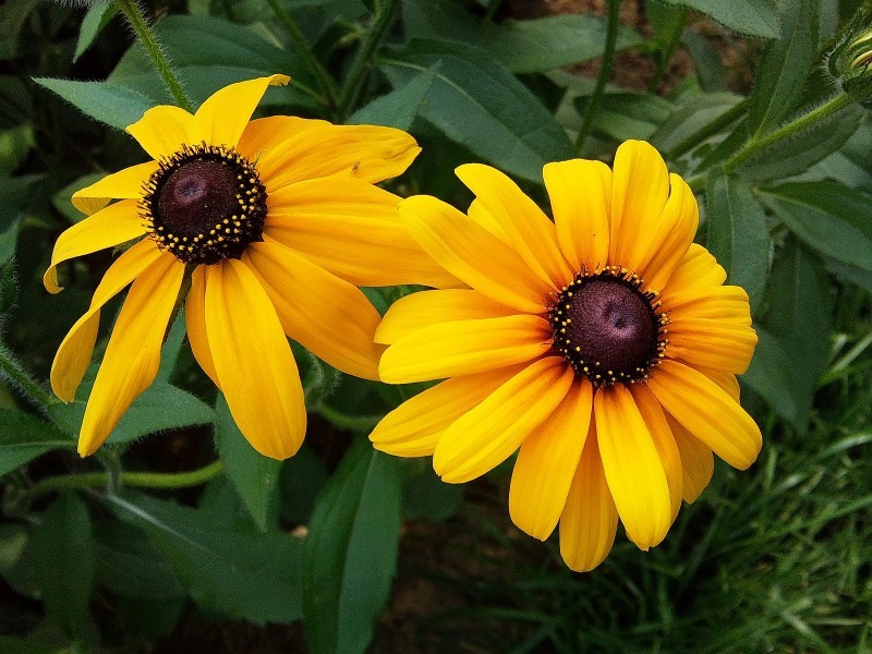 我想要的不过是你明目张胆的偏爱,我想要的不过是你英文歌