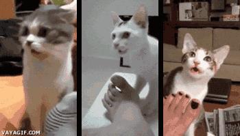 八月大宝宝竟得了脚气！10个误区家长需注意！