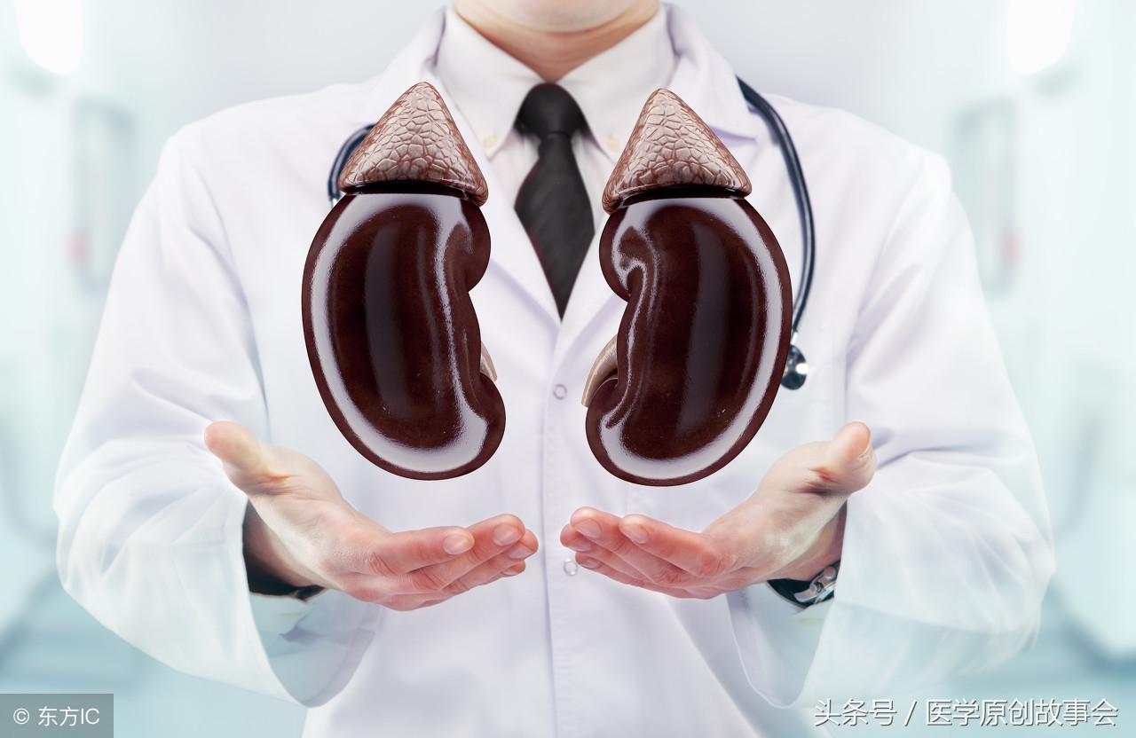 养肾一定要多吃四种食物，它们是治疗肾虚高手，快转给你的家人！