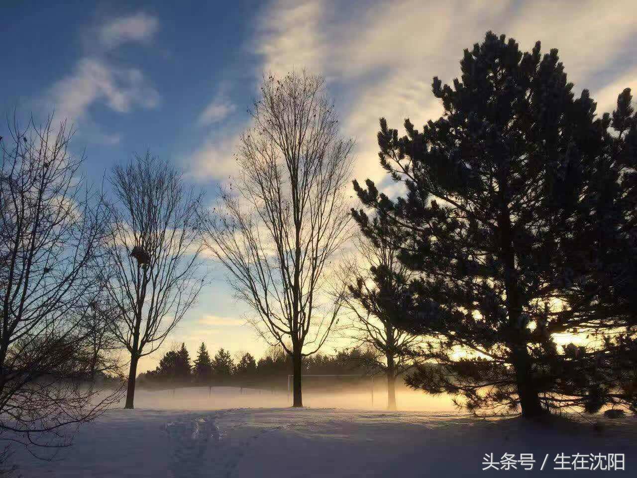 曾经的十大城市沈阳,沈阳是特大城市吗