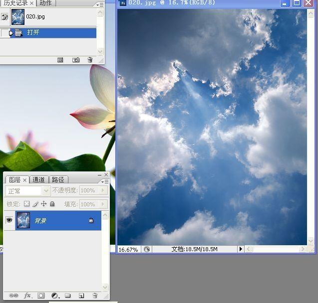 拍荷花用ps做成水墨画方法,ps怎样将拍的荷花p得漂亮免费教程