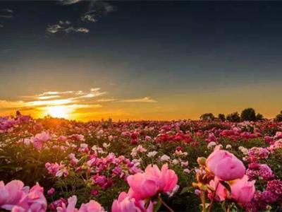 武汉外语外事职业学院周围环境,武汉外语外事职业学院等你来