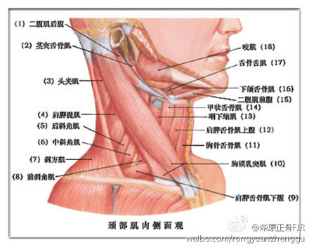 颈椎病眩晕，“三板斧”解决