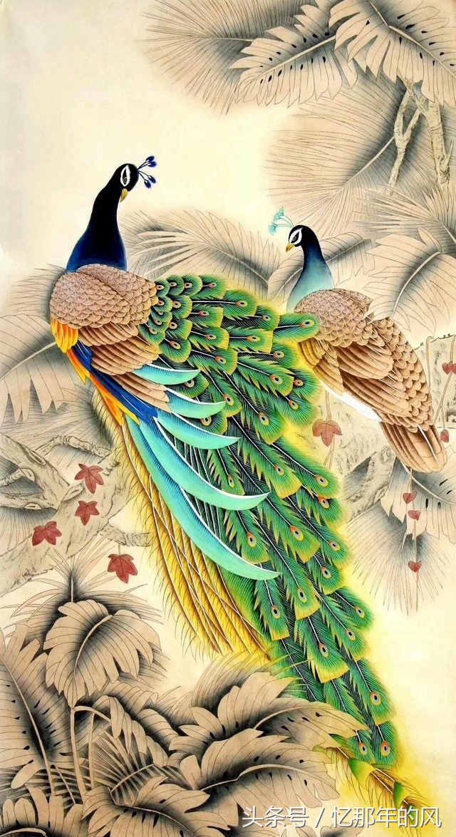 美丽的孔雀和凤凰吉祥的象征,孔雀和凤凰的寓意及象征