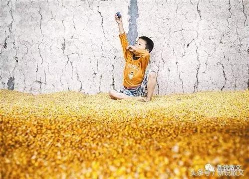 公路铁路有一天会被他们踩在脚下，他们的儿孙会跟着公路私奔