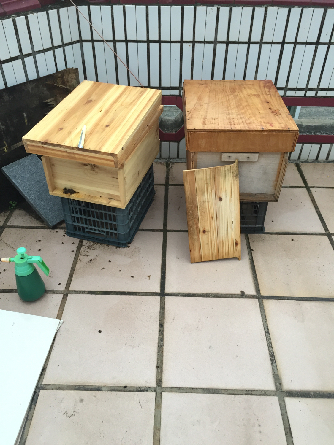 合并蜂群要关王吗,工产蜂群如何合并