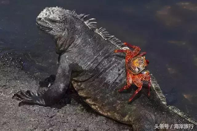 泰国9个最不能错过的美丽海岛,比普吉岛还美的度假天堂