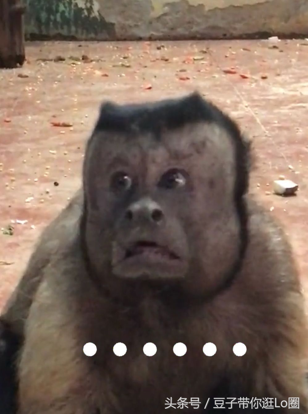 这条裙子看起来很漂亮,这条裙子很漂亮