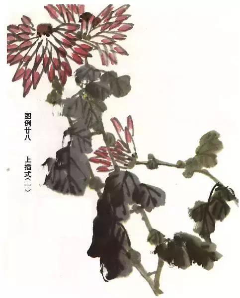 国画基础画菊花该如何构图才好看,国画菊花怎么画简单画法