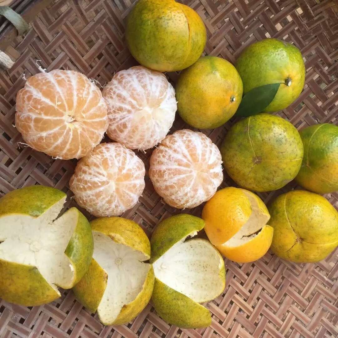 感冒可以用生姜泡脚吗,感冒可以用陈皮吗