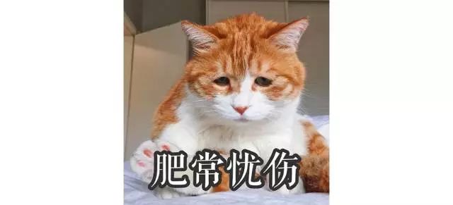 韩国化妆品千万别乱买！范冰冰推荐的日货也有问题！