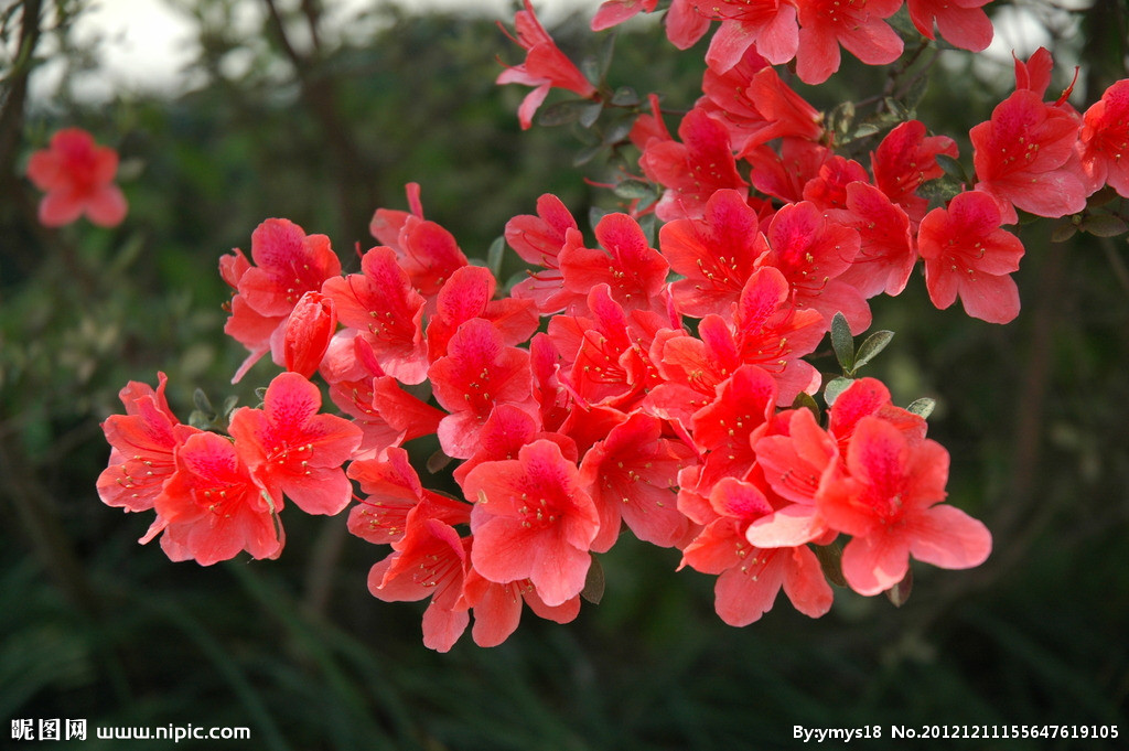 浙江嘉兴秀洲区地图,美丽浙江南湖区
