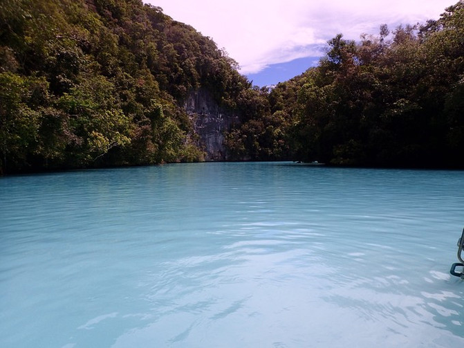 离开喧嚣的城市去野外生活三年,逃离都市喧嚣回归心灵栖居地