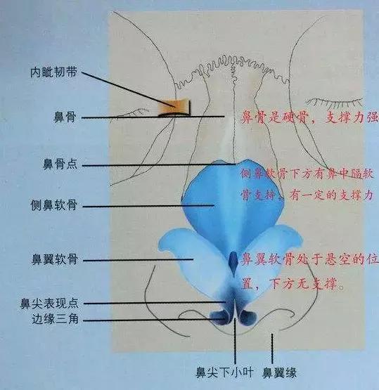 不动刀的隆鼻方法是什么,不动刀不打针的隆鼻的方法
