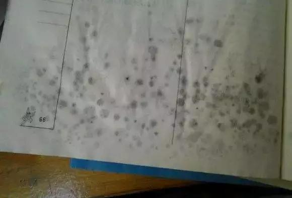 霉菌感染用什么喷雾比较好,潮湿的霉菌用什么消毒比较好