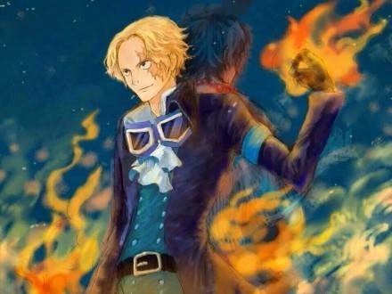 海贼王路飞的简介,路飞家族身份暴露