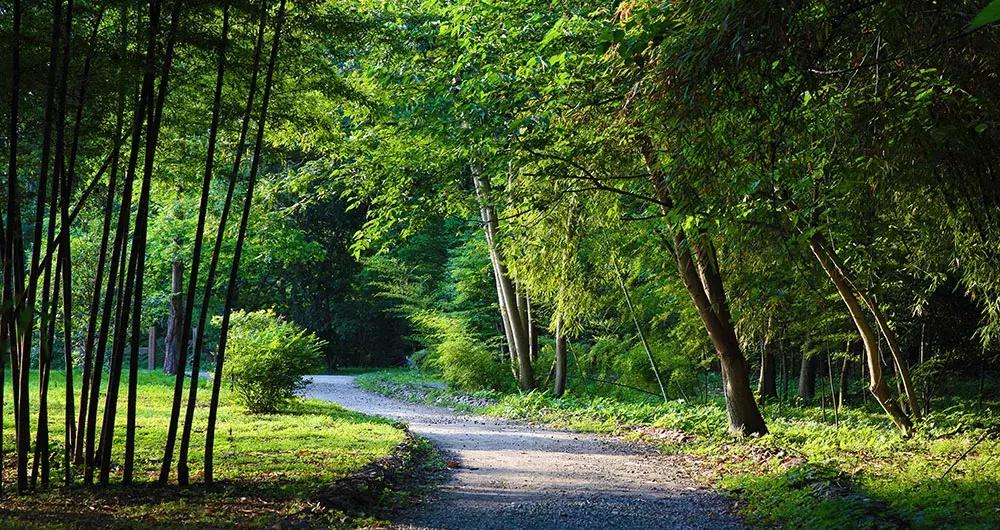 成都周边洗肺好去处,成都周边私藏的8个洗肺胜地