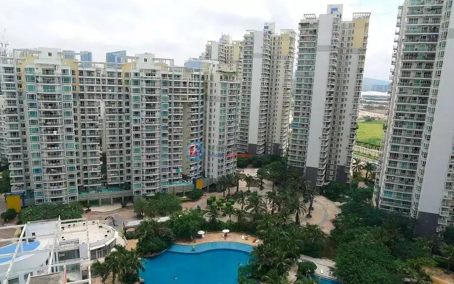 真正的深圳人在哪里,深圳人都去哪了