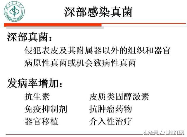 ivd基础知识大全,真菌检测要点