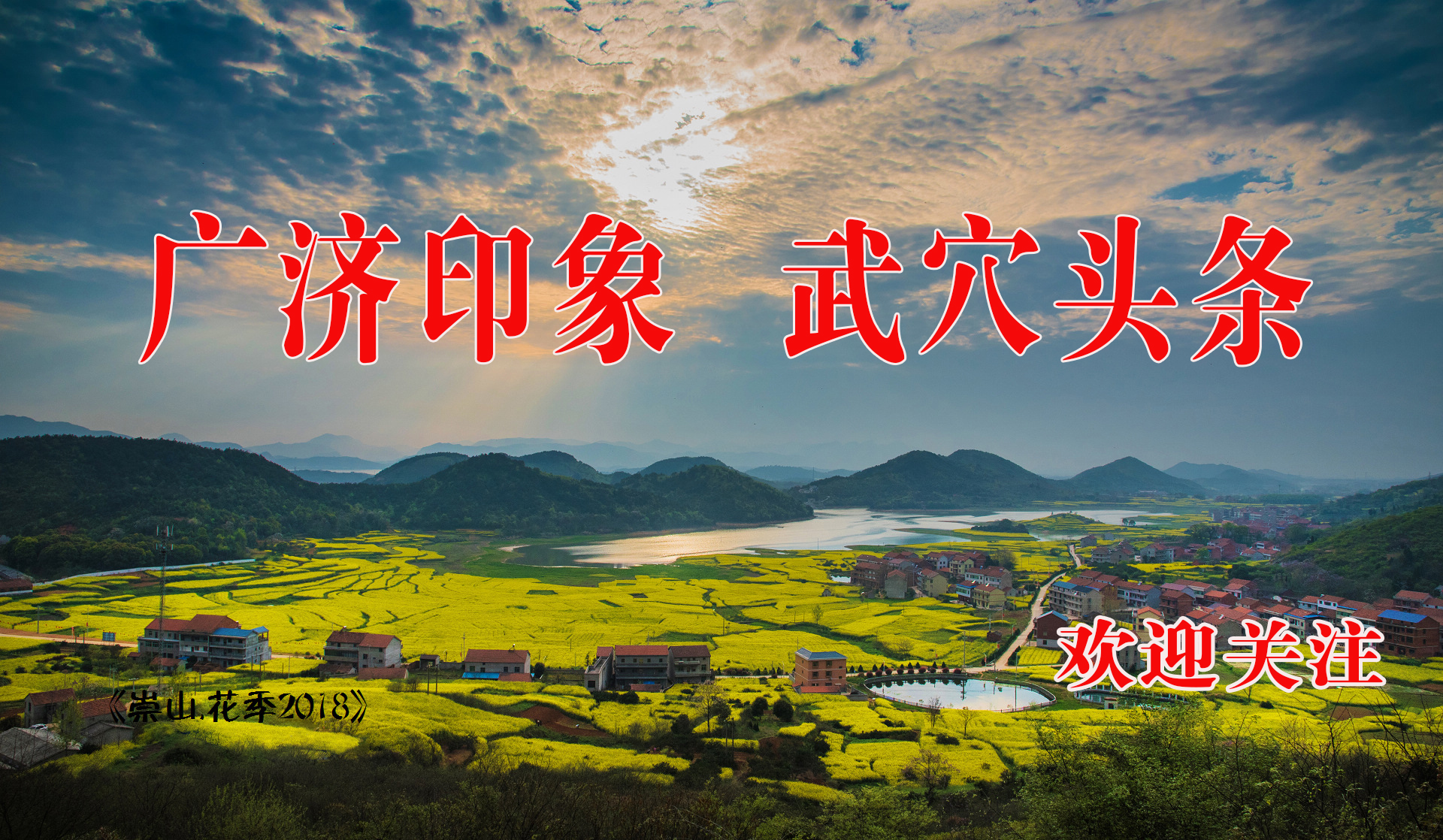 与蛇同游,和蛇相遇的视频