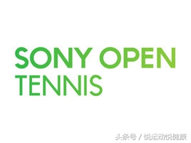 打网球的介绍,打网球的知识
