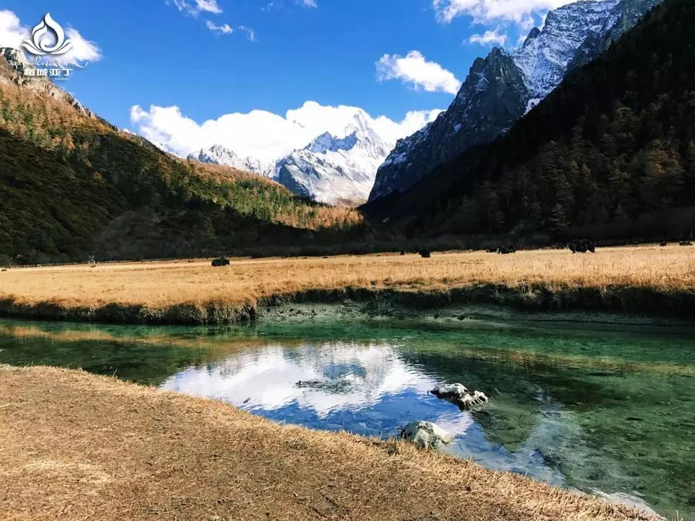 来自稻城亚丁的纯粹，是你没见过的美。