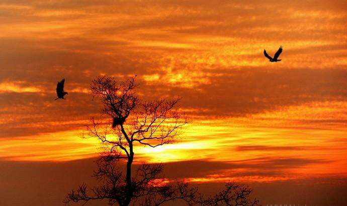 马蹄韵平仄图解,马蹄韵对联基本规则