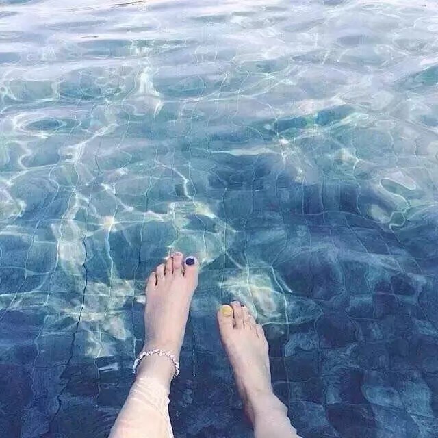 水里美人壁纸,玫瑰水中花壁纸