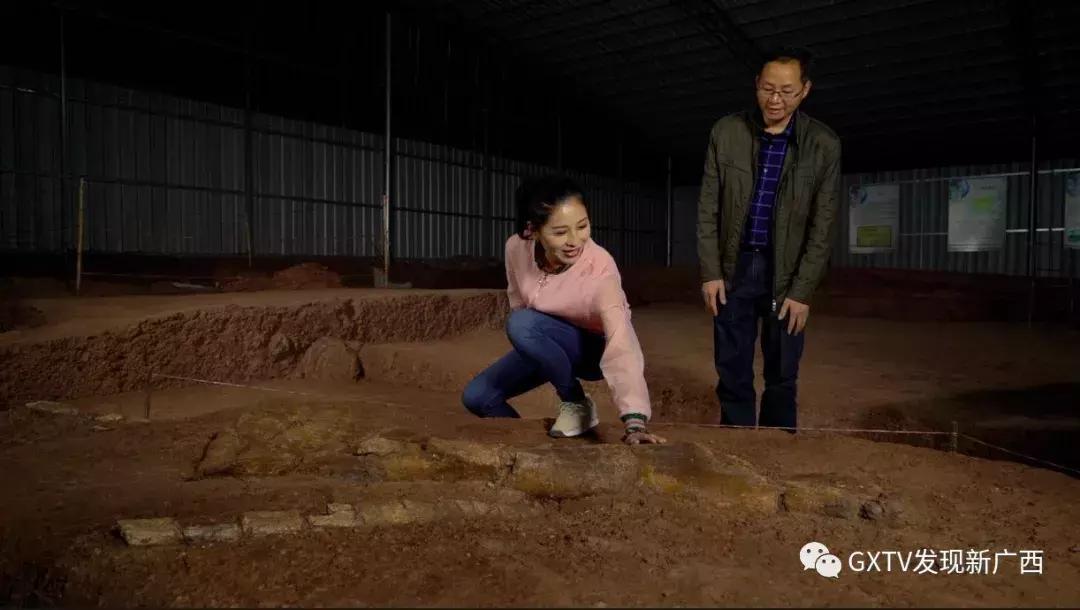 1亿年前的恐龙时代,1亿年前的恐龙