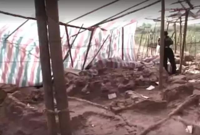 1亿年前的恐龙时代,1亿年前的恐龙