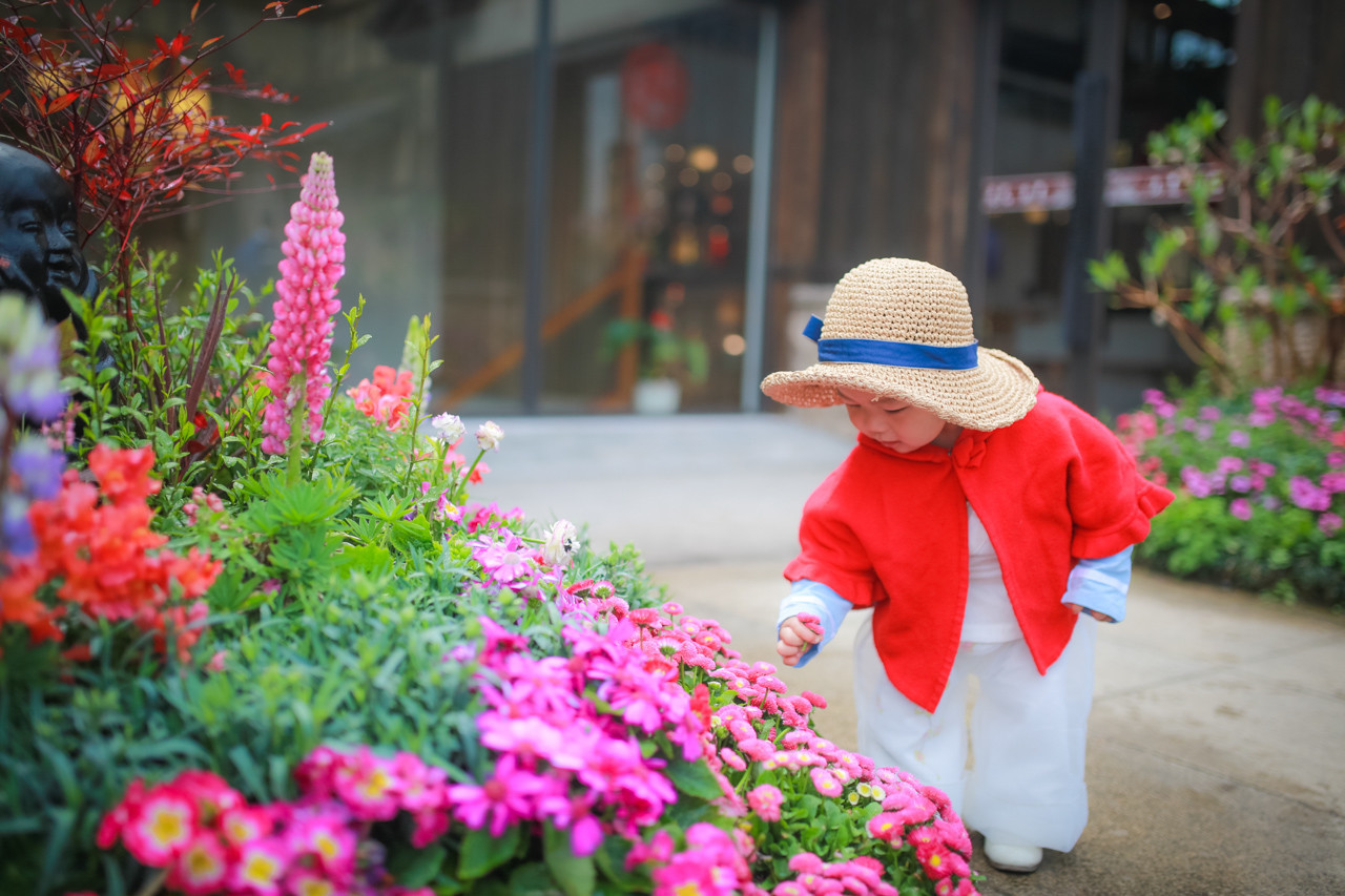 三月的拈花湾樱花烂漫,烟花三月桃花
