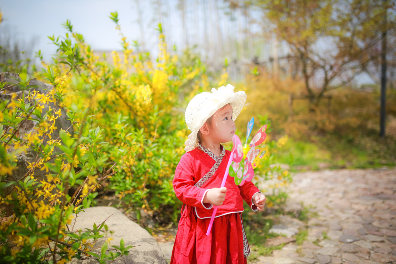 三月的拈花湾樱花烂漫,烟花三月桃花