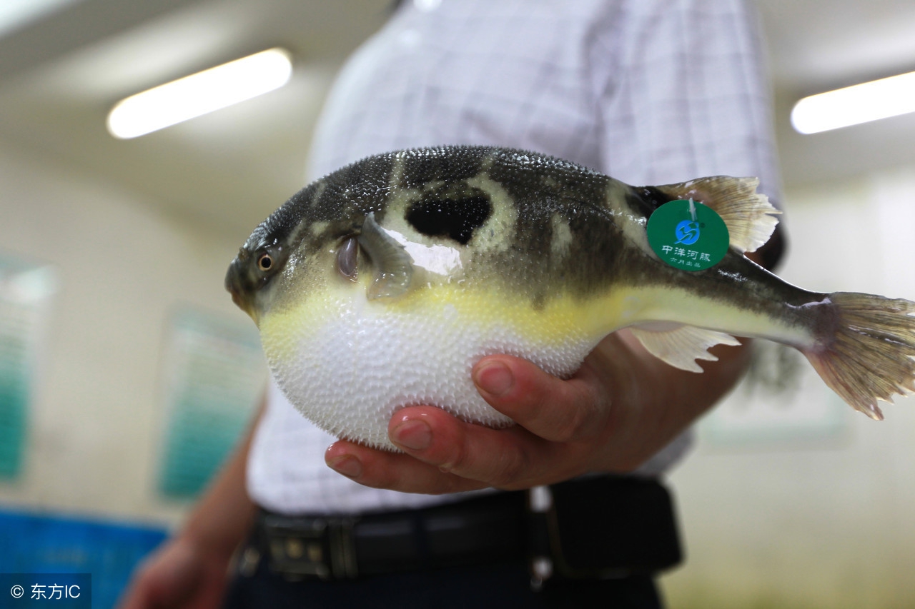春江水暖鸭先知节气,春江水暖鸭先知是哪个季节