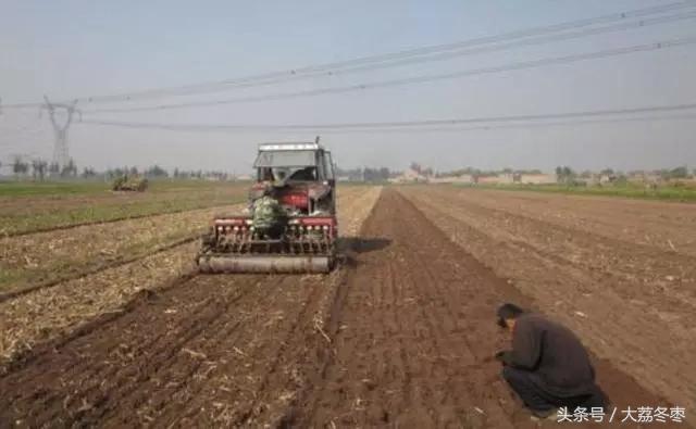 大家都知道面食是由小麦做的，那么关于小麦的知识你了解多少呢？