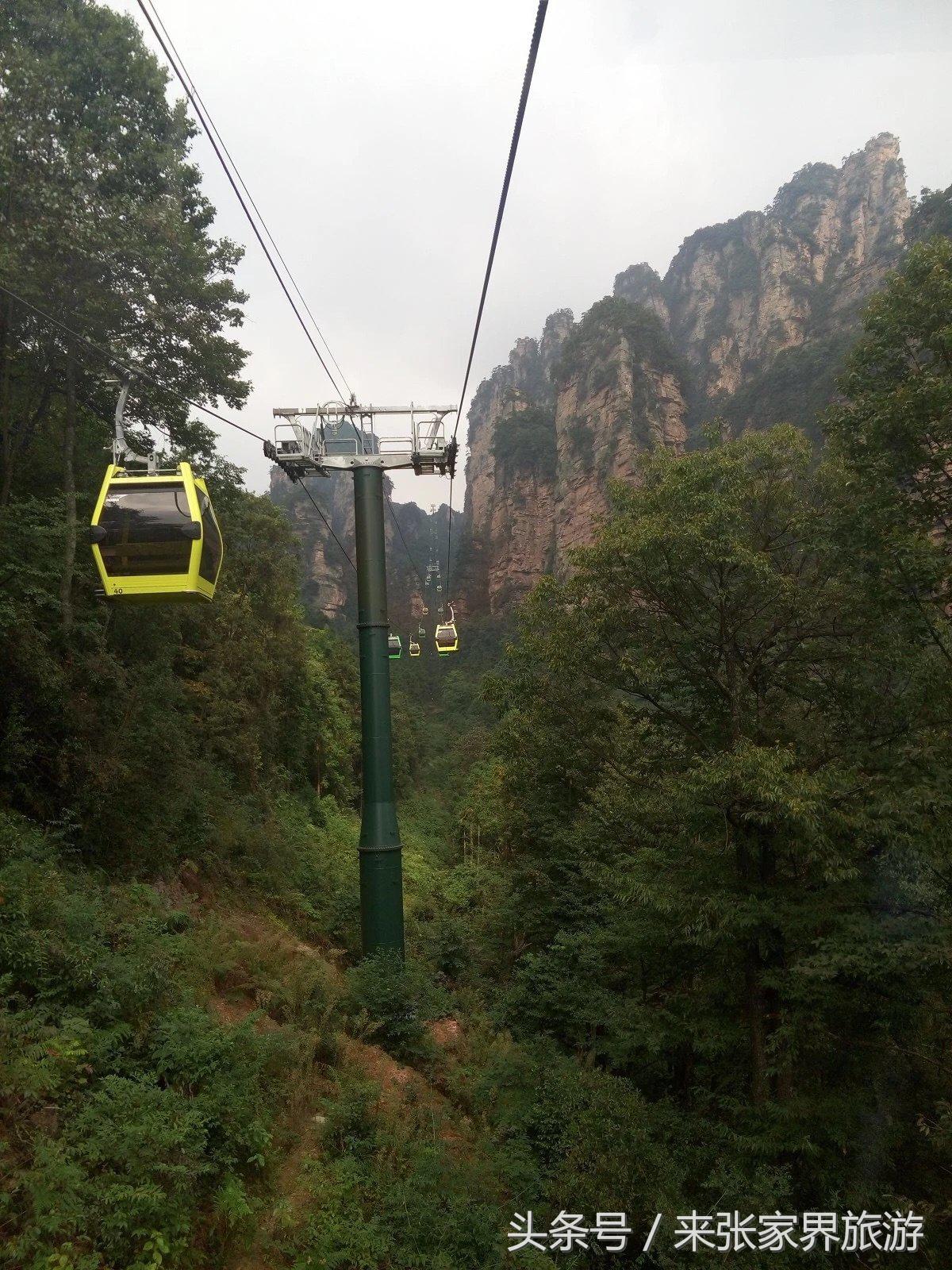 山东到张家界凤凰五日游攻略图文,佛山去张家界旅游攻略路线推荐图