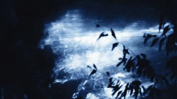 水幕秀震撼视频,西递水幕光影秀