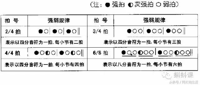 怎样学习识简谱基础入门,如何学乐谱弹钢琴
