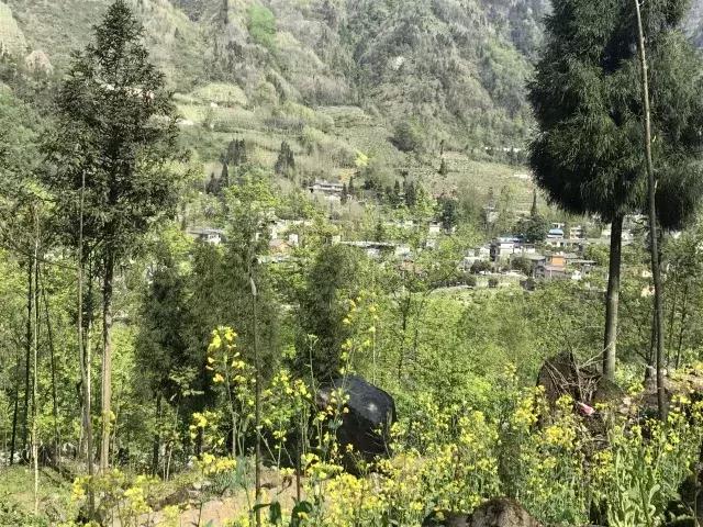 飞两千多公里,得到一座奇幻山林,一个温暖的家,一群有趣的人