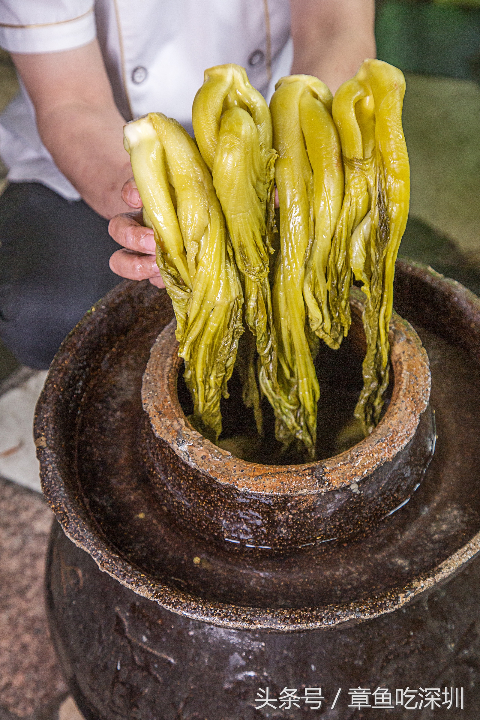 深圳福田潮汕鱼头王,深圳鱼头王湘菜馆
