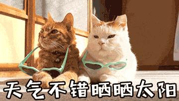 40天500张照片!她用这种方式帮助宝宝平安度过黄疸期,太聪明了