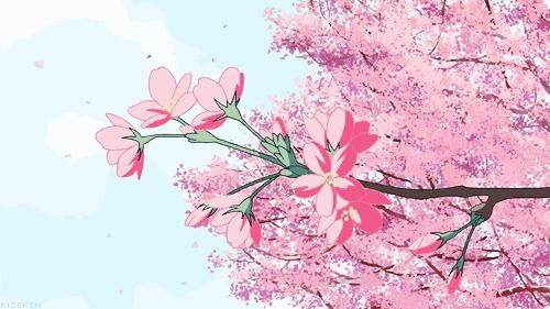 重庆风景让人一看心旷神怡的地方,秋日游重庆这里的景色别样好