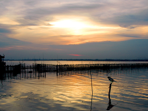 嘉兴嘉善美丽城市,美丽浙江嘉兴嘉善