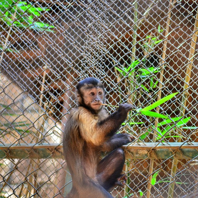 爱旅行爱生活之海南三亚蜈支洲,爱旅行游记攻略