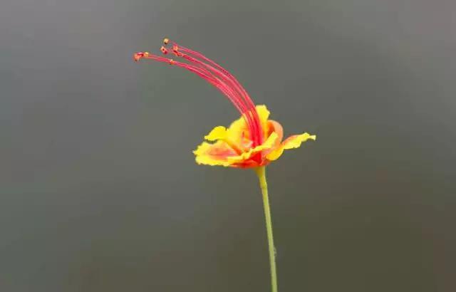 占星学里所有的爱情关系,古典占星如何看自己的另一半